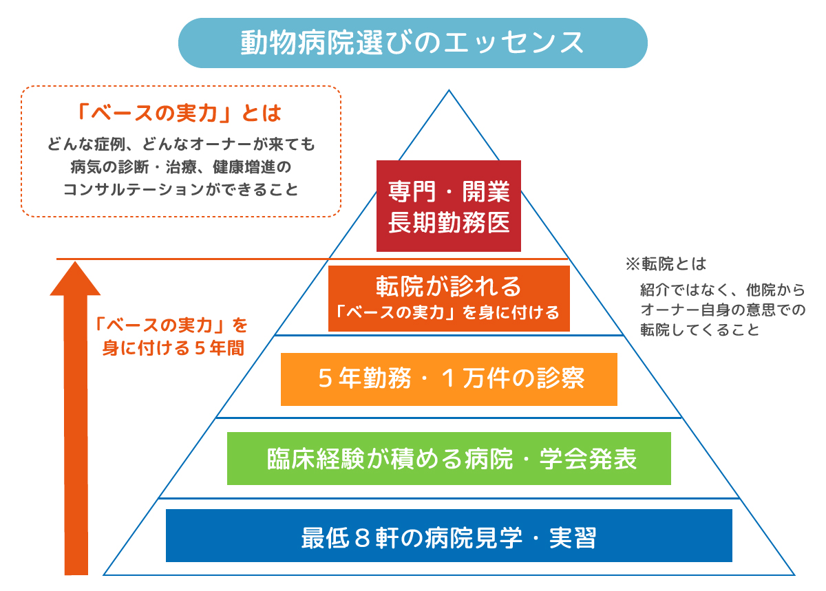 獣医学生へのアドバイス 品川wafどうぶつ病院