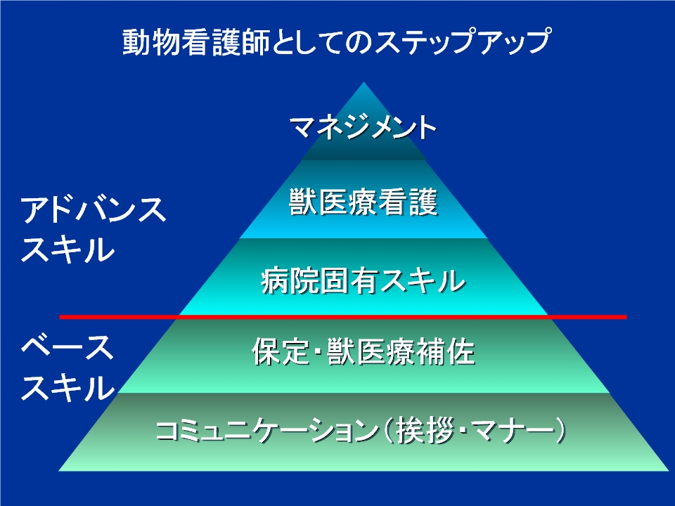 動物看護系学生へのアドバイス 品川wafどうぶつ病院