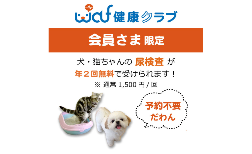 ウロキャッチャー 犬猫その他ペット用採尿キット